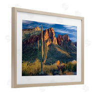 Mike Jones | Found You Cactus in Canyon