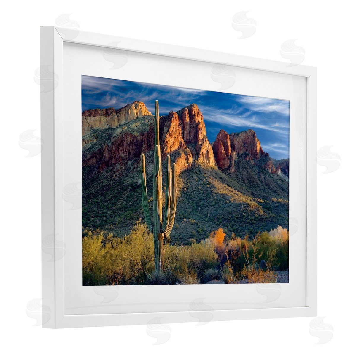 Mike Jones Found You Cactus in Canyon Canvas Wall Art Print