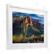 Mike Jones | Found You Cactus in Canyon