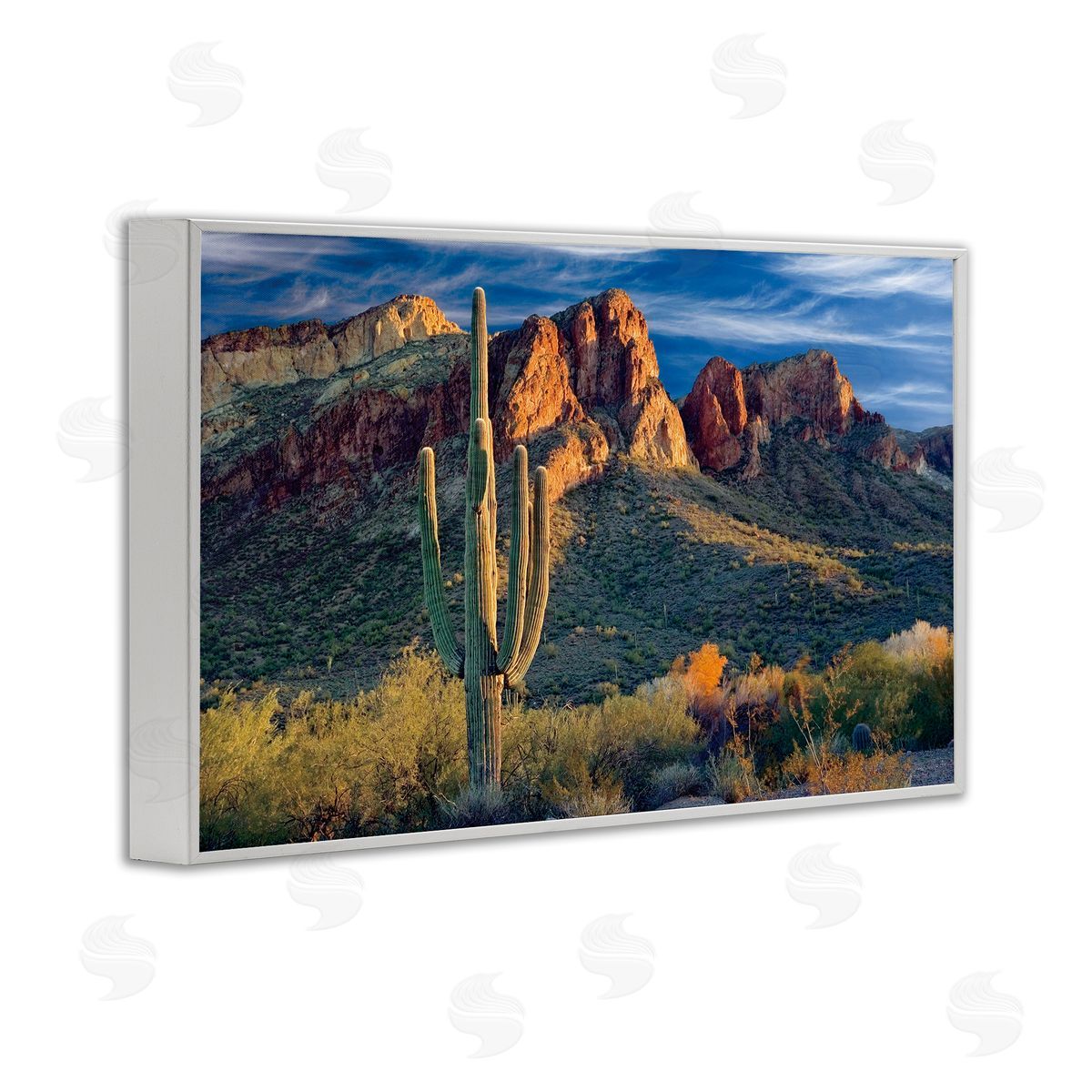 Mike Jones Found You Cactus in Canyon Canvas Wall Art Print