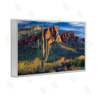 Mike Jones | Found You Cactus in Canyon