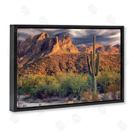 Mike Jones | Tall And Strong Cactus View