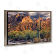 Mike Jones | Tall And Strong Cactus View