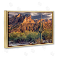 Mike Jones | Tall And Strong Cactus View