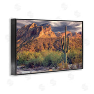 Mike Jones | Tall And Strong Cactus View