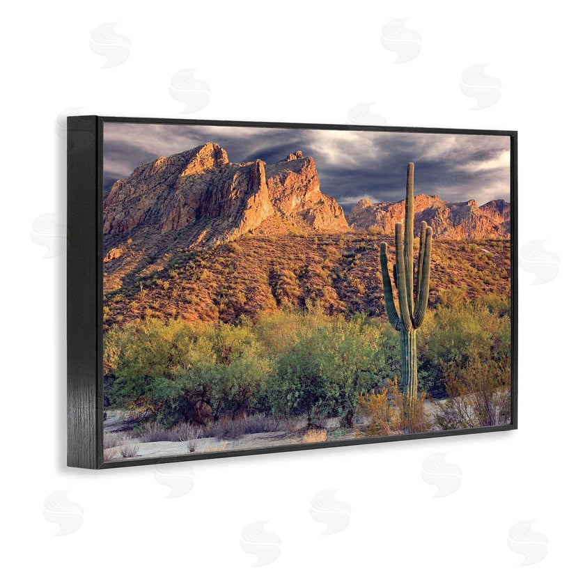 Mike Jones | Tall And Strong Cactus View