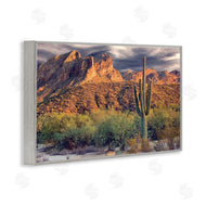Mike Jones | Tall And Strong Cactus View
