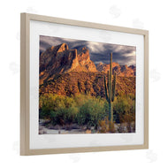 Mike Jones | Tall And Strong Cactus View