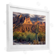 Mike Jones | Tall And Strong Cactus View
