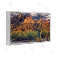 Mike Jones | Tall And Strong Cactus View