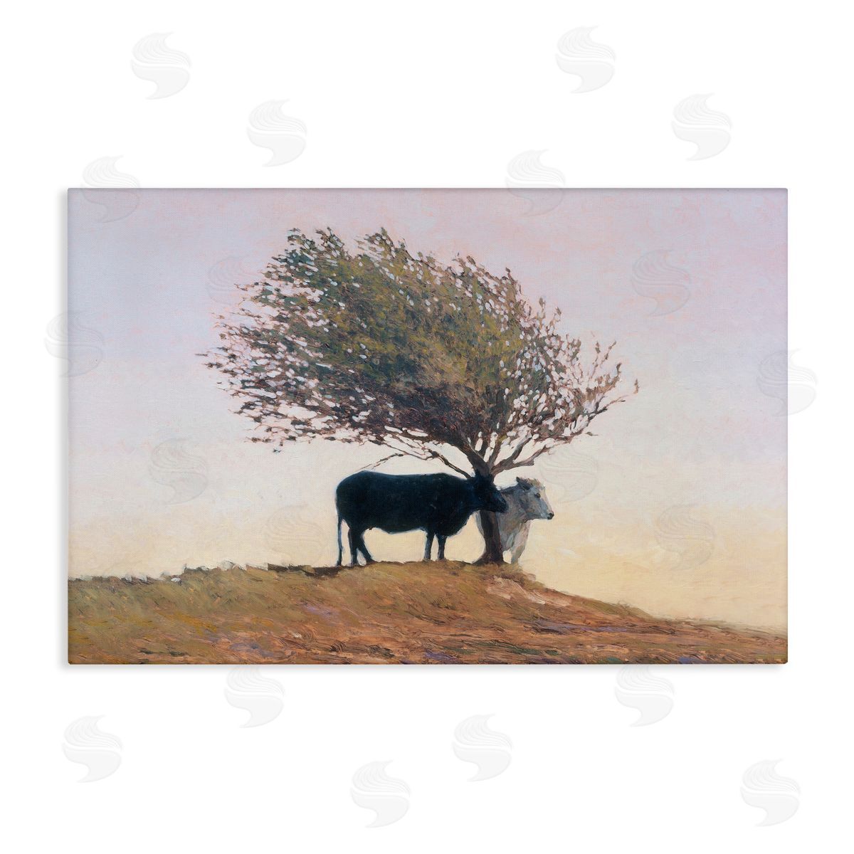 Kent Lovelace Black and White Cattle Canvas Wall Art Print