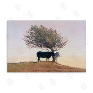 Kent Lovelace | Black and White Cattle
