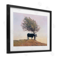 Kent Lovelace | Black and White Cattle
