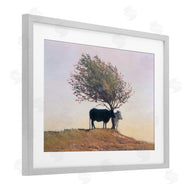 Kent Lovelace | Black and White Cattle