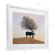 Kent Lovelace | Black and White Cattle