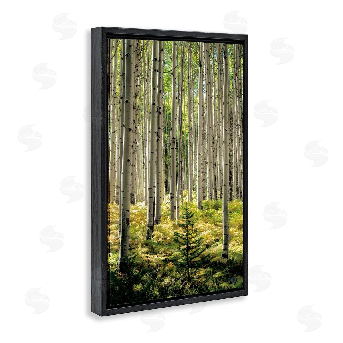 D. Burt Small And Tall Birch Forest Canvas Wall Art Print