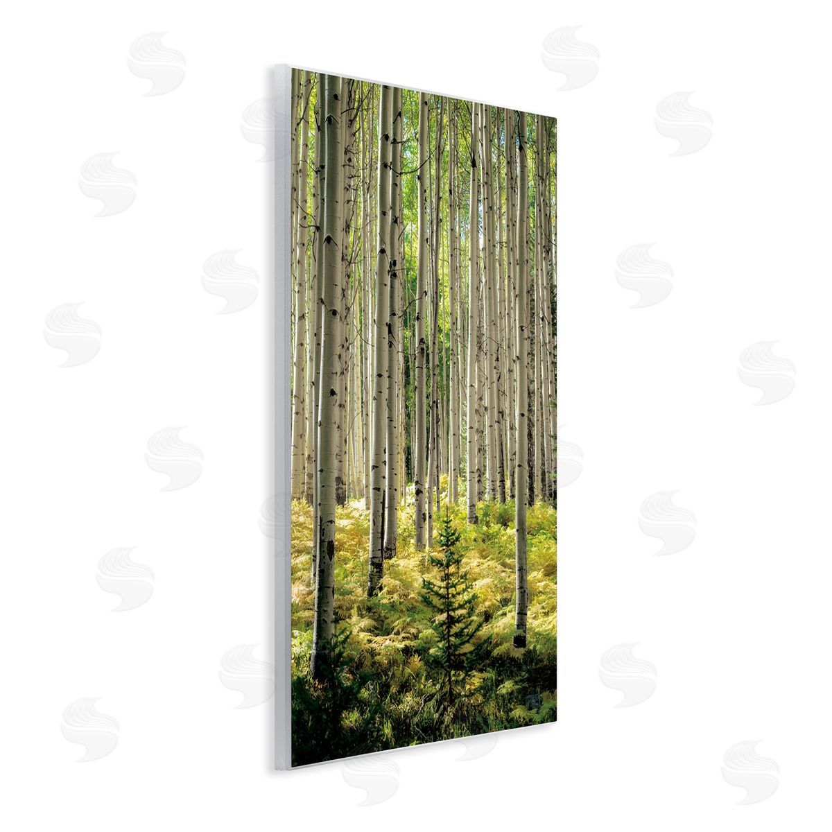 D. Burt Small And Tall Birch Forest Canvas Wall Art Print