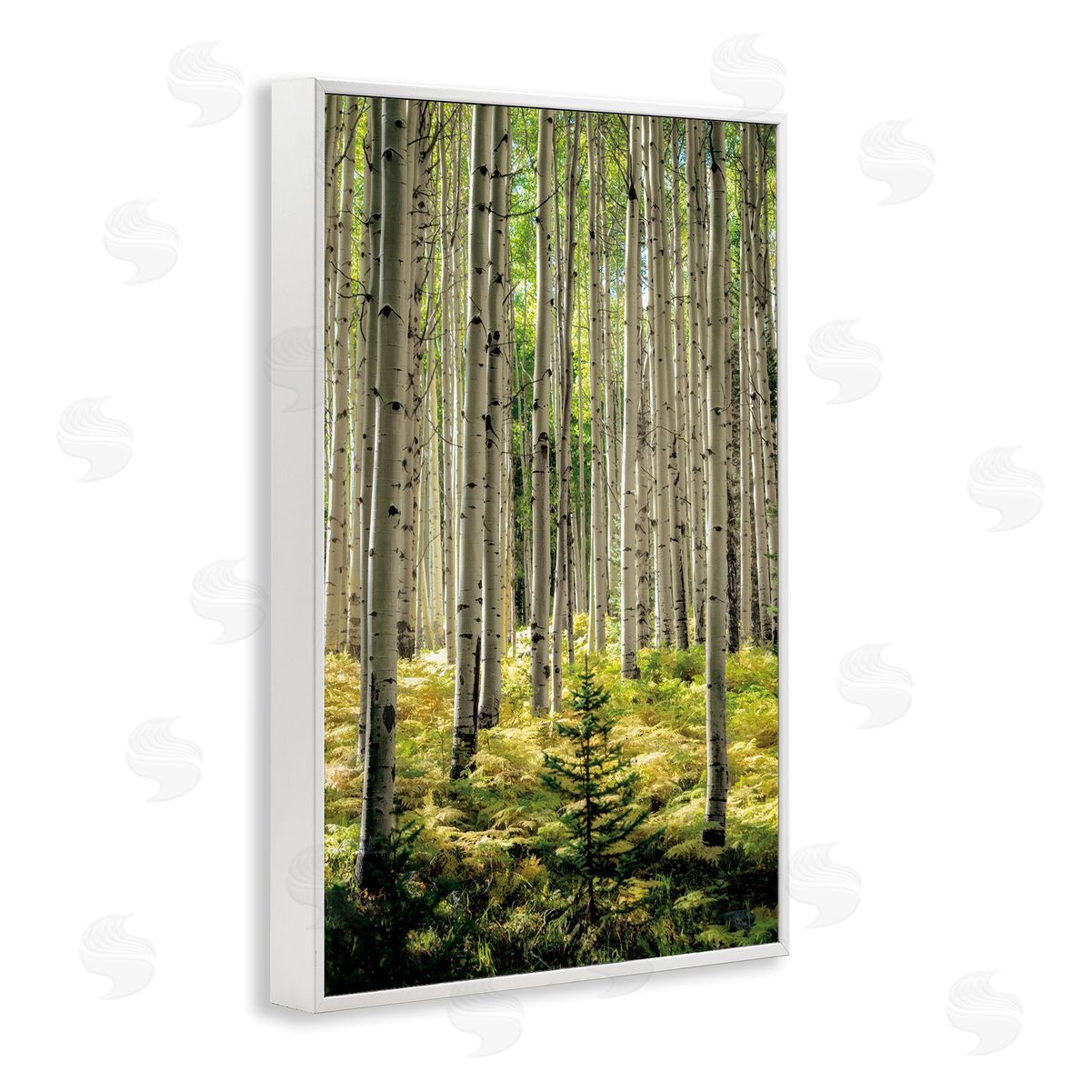 D. Burt Small And Tall Birch Forest Canvas Wall Art Print