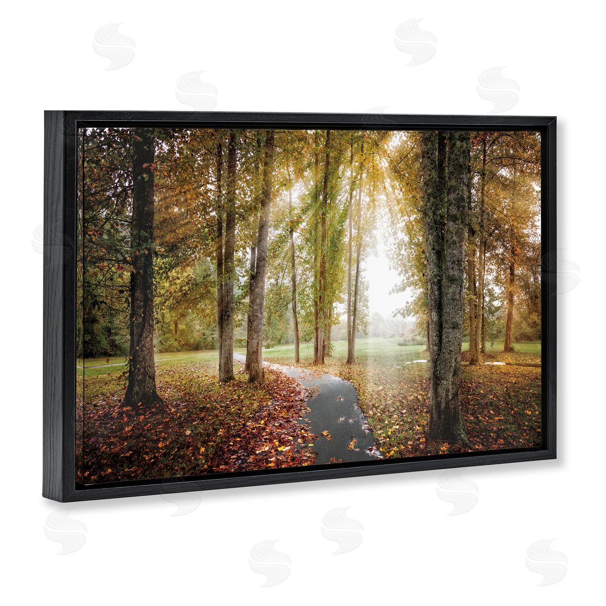 Celebrate Life Gallery Follow The Light Forest Path Canvas Wall Art Print