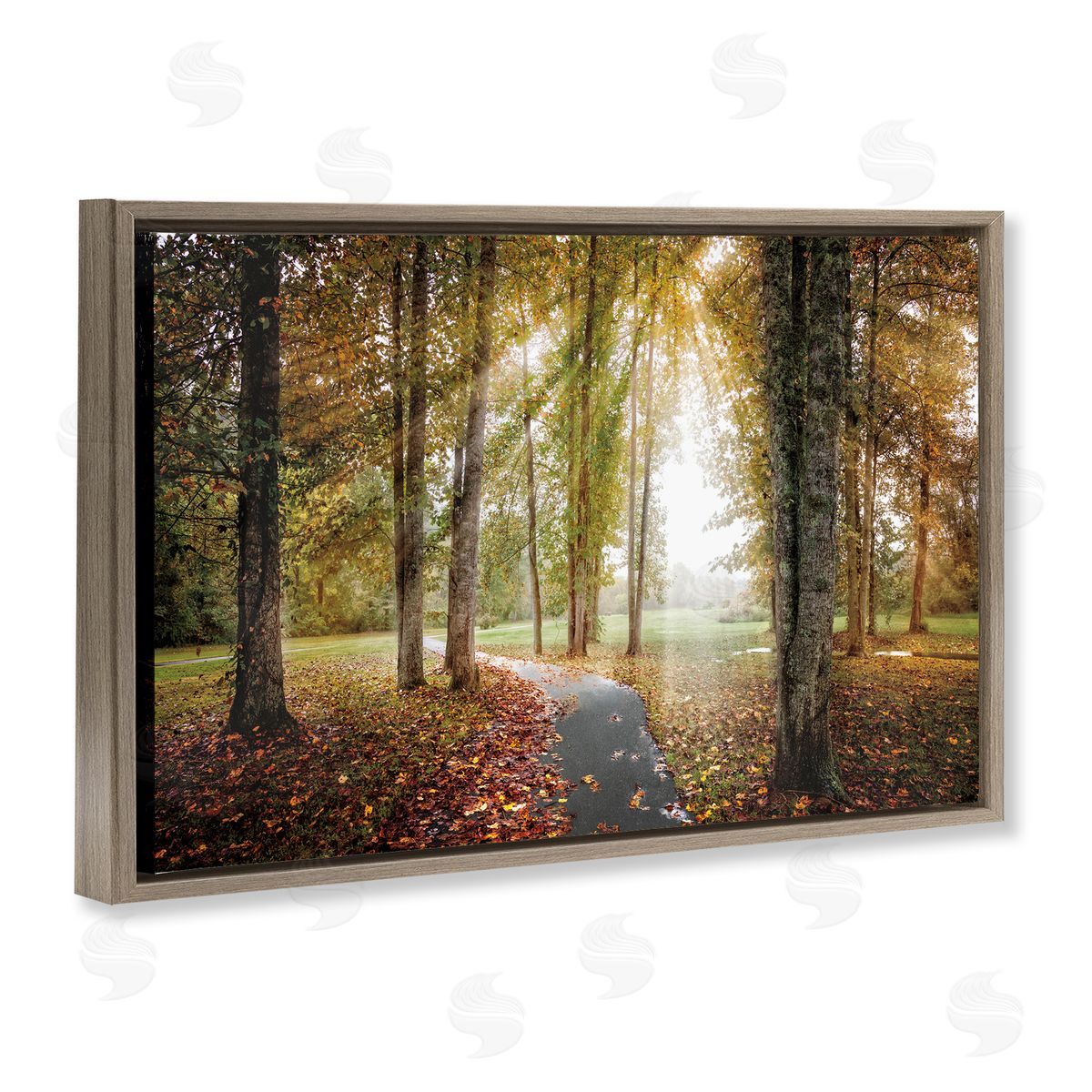Celebrate Life Gallery Follow The Light Forest Path Canvas Wall Art Print