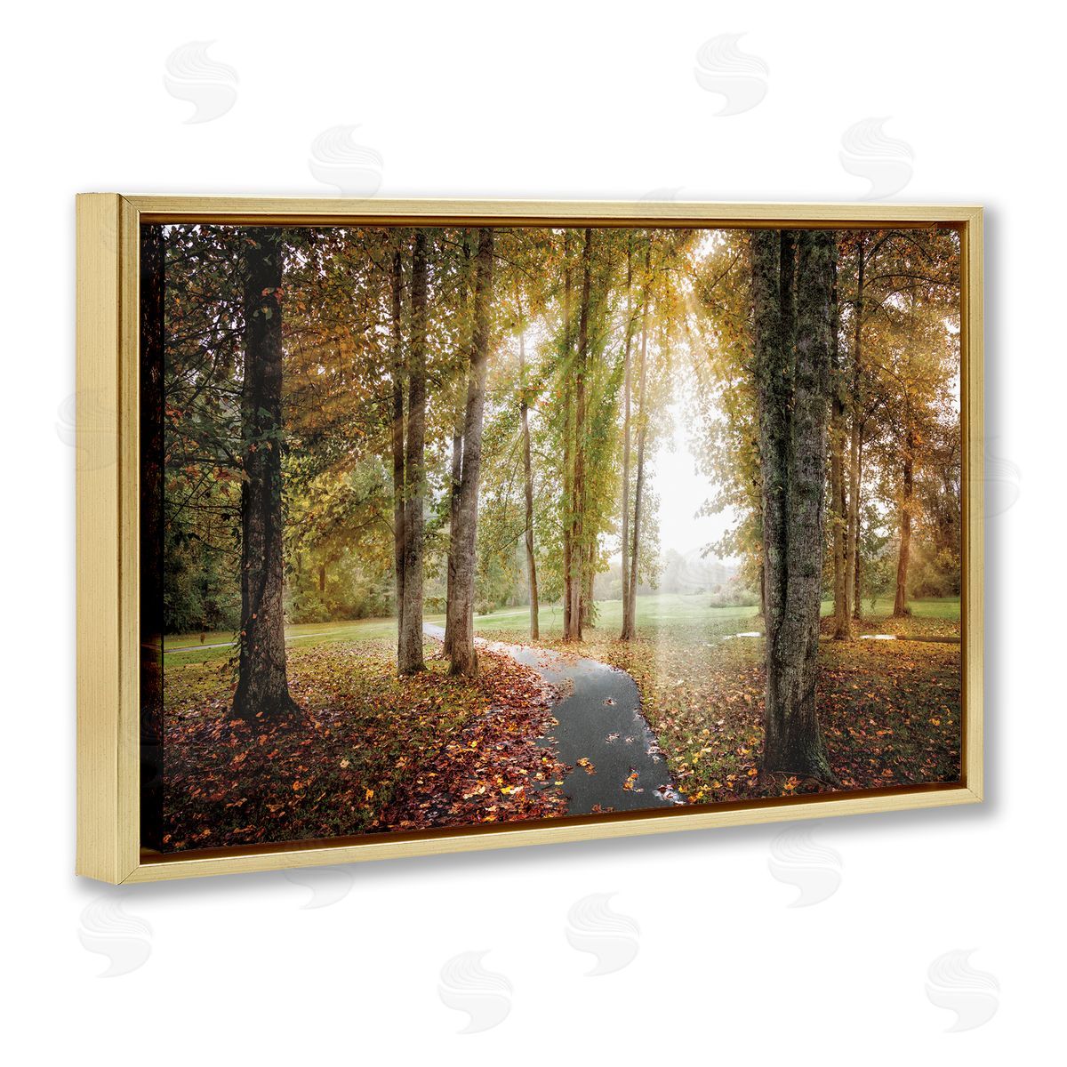 Celebrate Life Gallery Follow The Light Forest Path Canvas Wall Art Print
