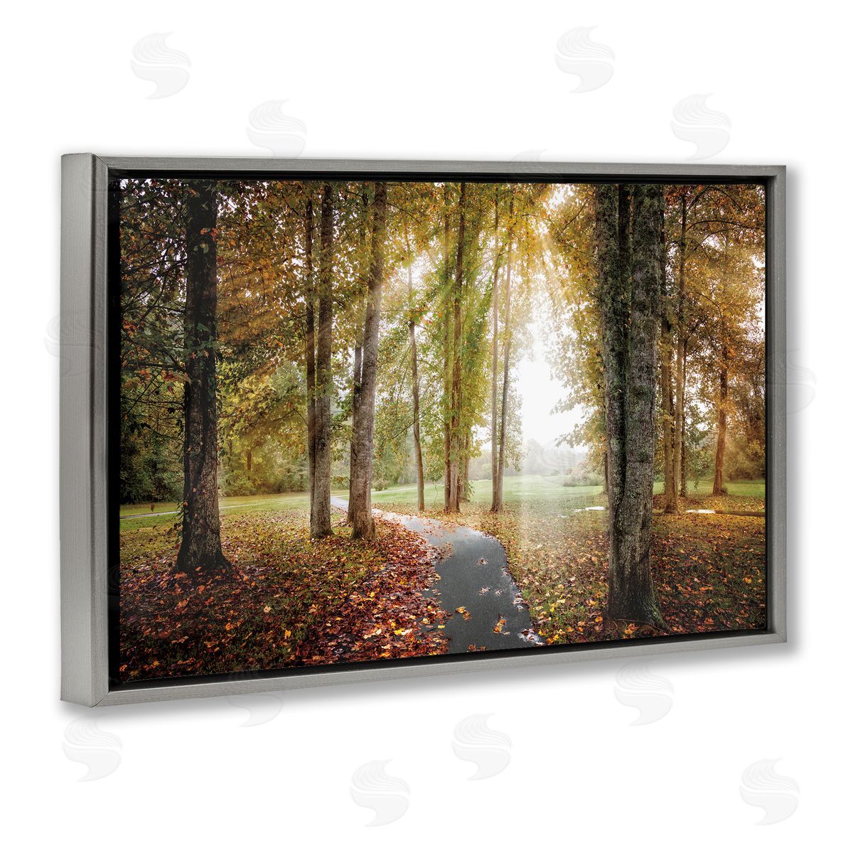 Celebrate Life Gallery Follow The Light Forest Path Canvas Wall Art Print