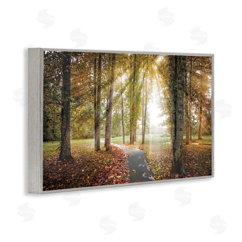 Celebrate Life Gallery | Follow The Light Forest Path