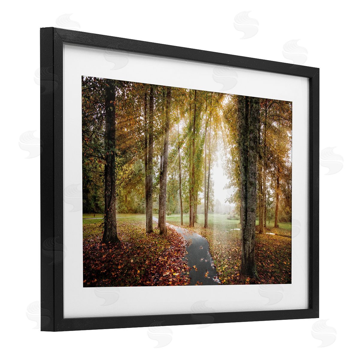 Celebrate Life Gallery Follow The Light Forest Path Canvas Wall Art Print