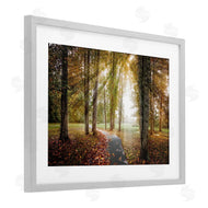 Celebrate Life Gallery | Follow The Light Forest Path