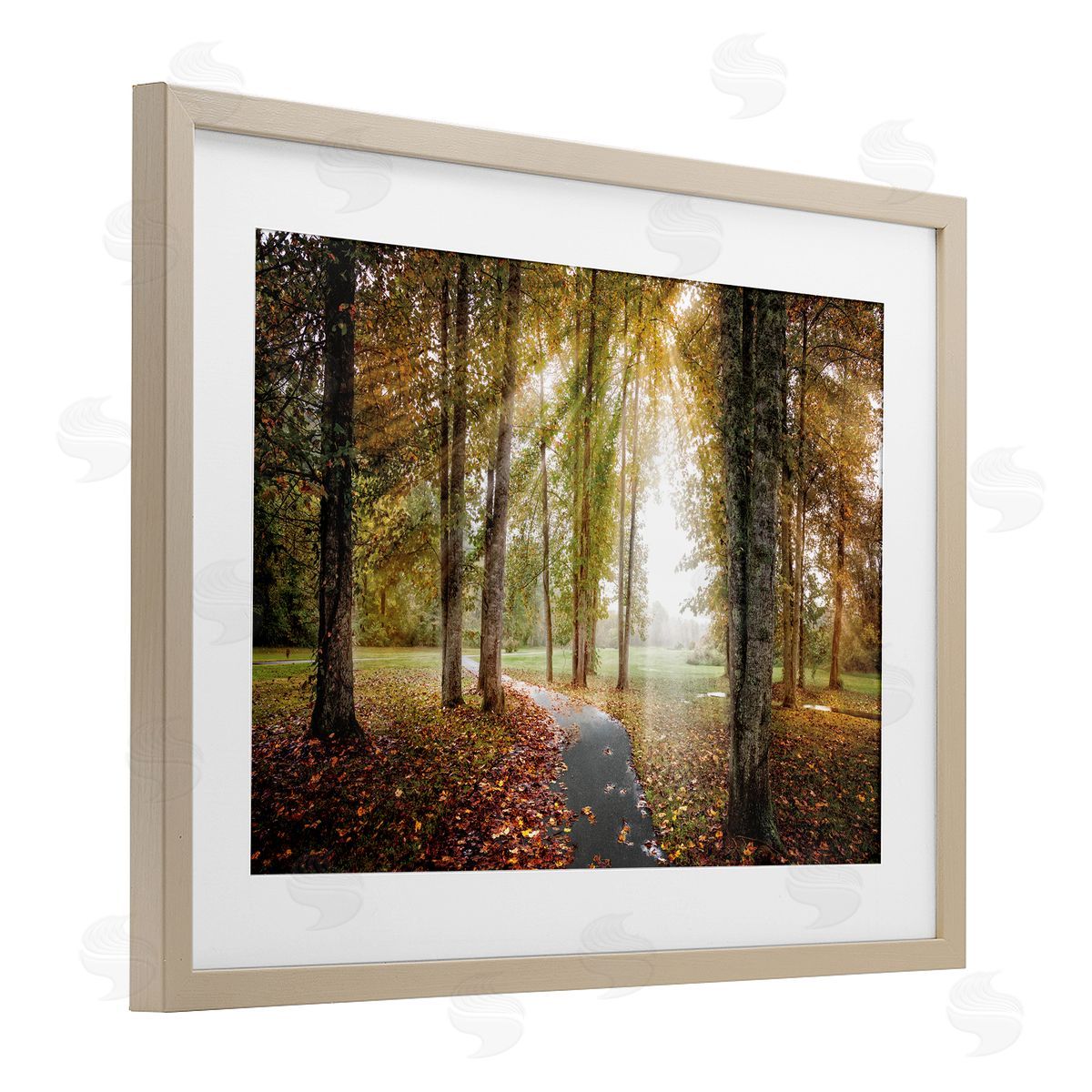 Celebrate Life Gallery Follow The Light Forest Path Canvas Wall Art Print