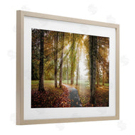 Celebrate Life Gallery | Follow The Light Forest Path