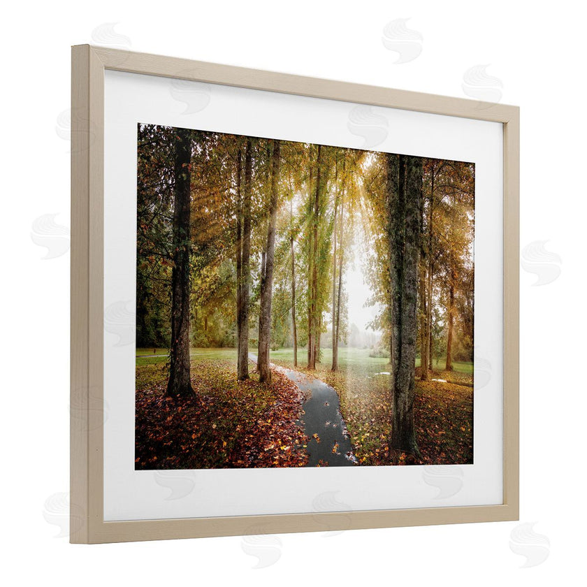 Celebrate Life Gallery | Follow The Light Forest Path