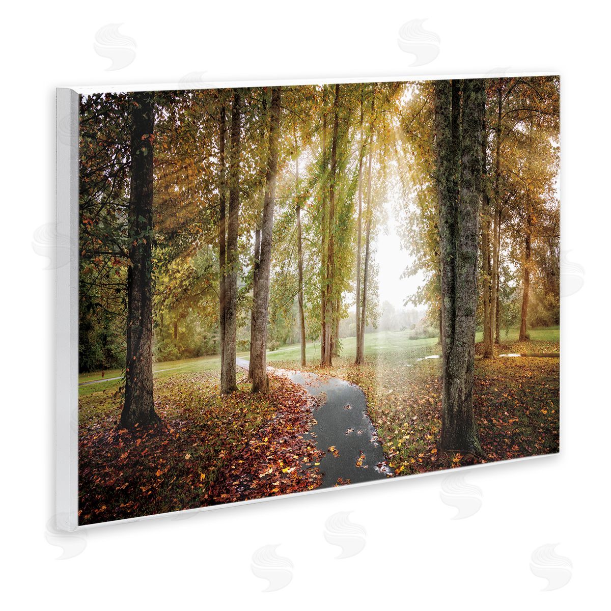 Celebrate Life Gallery Follow The Light Forest Path Canvas Wall Art Print