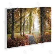 Celebrate Life Gallery | Follow The Light Forest Path