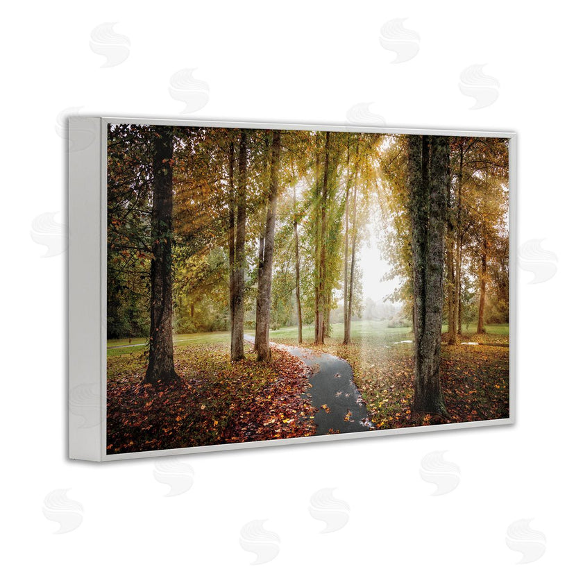 Celebrate Life Gallery | Follow The Light Forest Path
