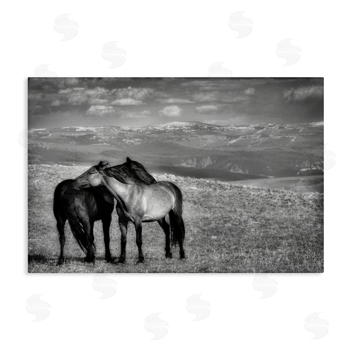 Wendy Caro Focused Horse Duo Canvas Wall Art Print