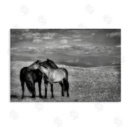 Wendy Caro | Focused Horse Duo