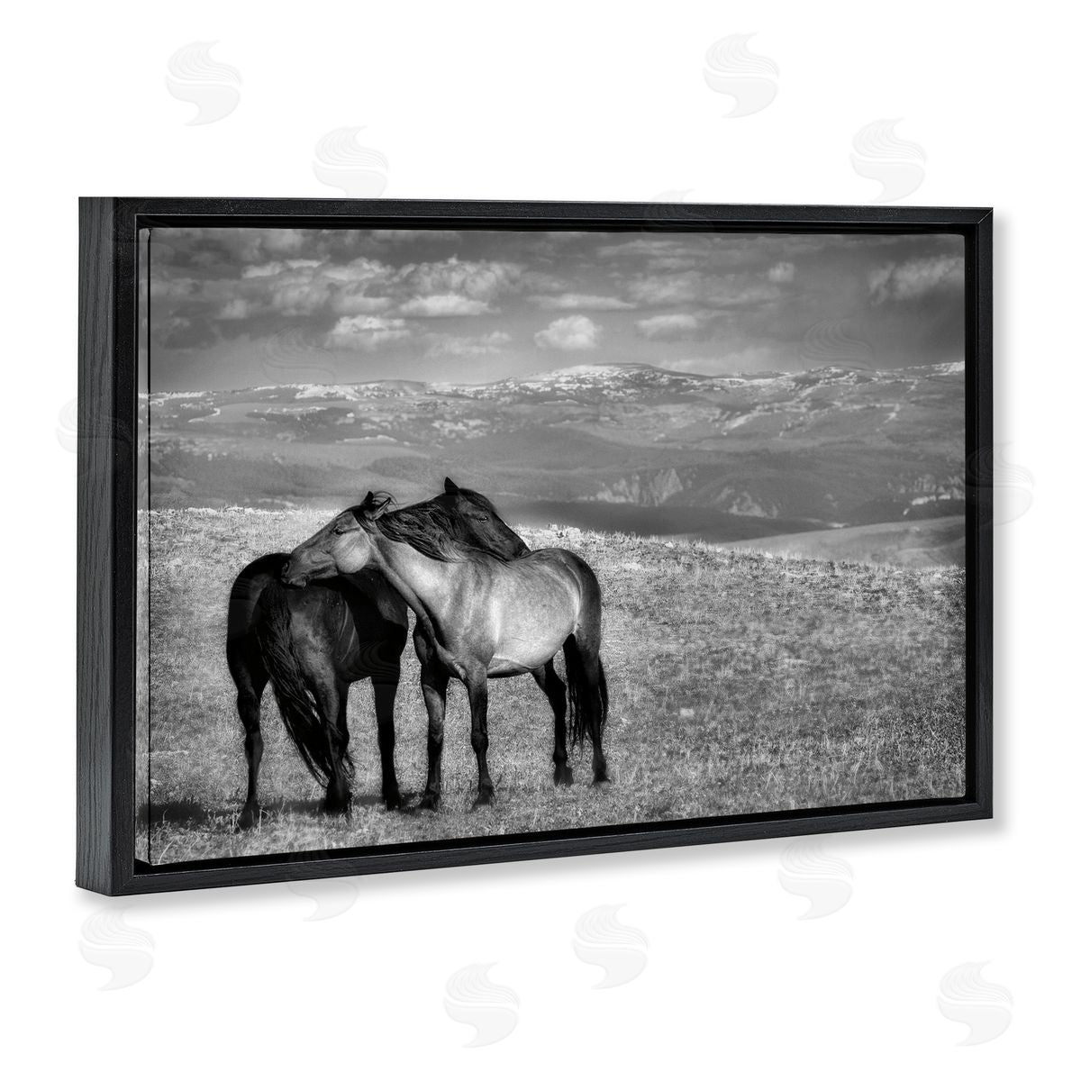 Wendy Caro Focused Horse Duo Canvas Wall Art Print