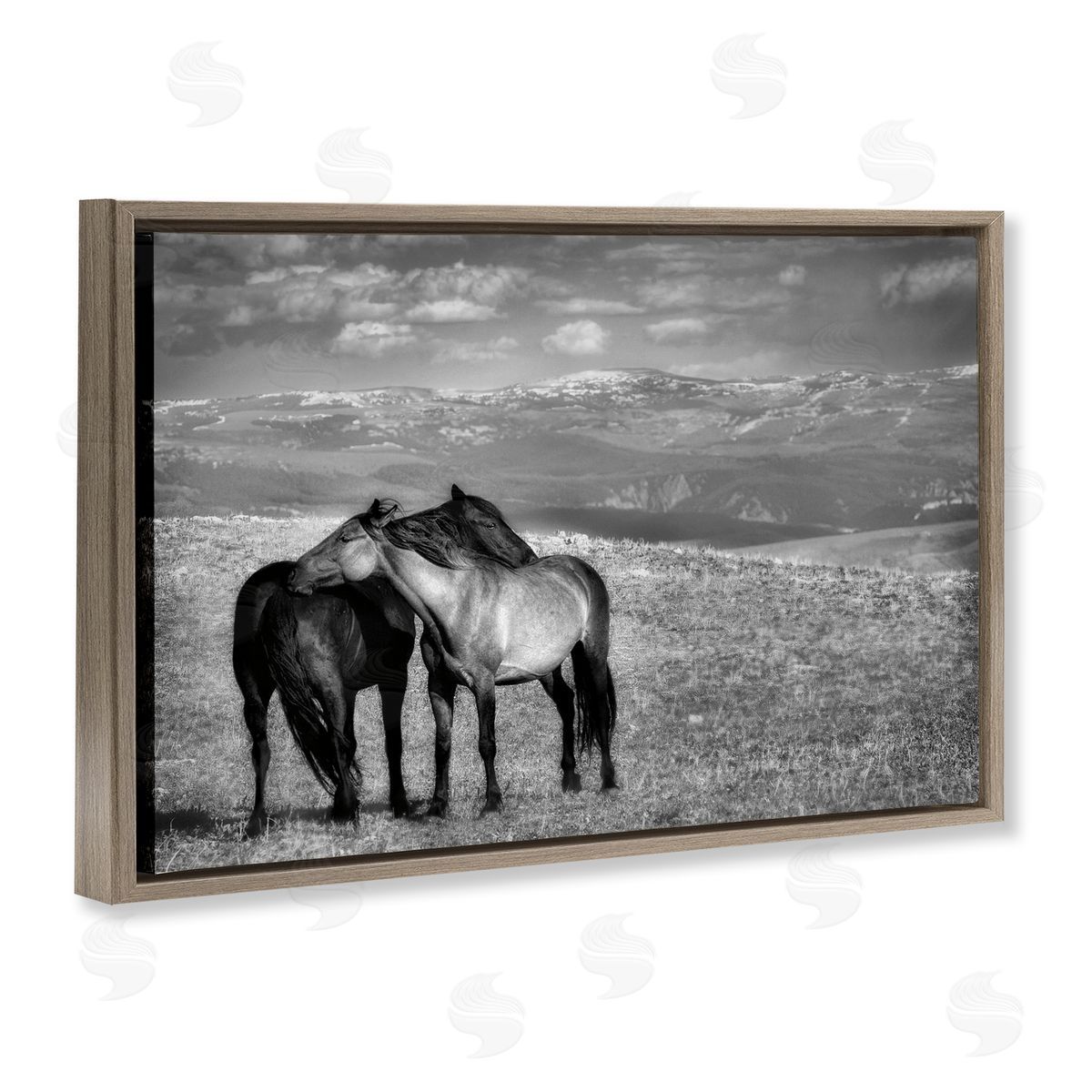 Wendy Caro Focused Horse Duo Canvas Wall Art Print