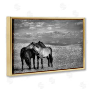 Wendy Caro | Focused Horse Duo
