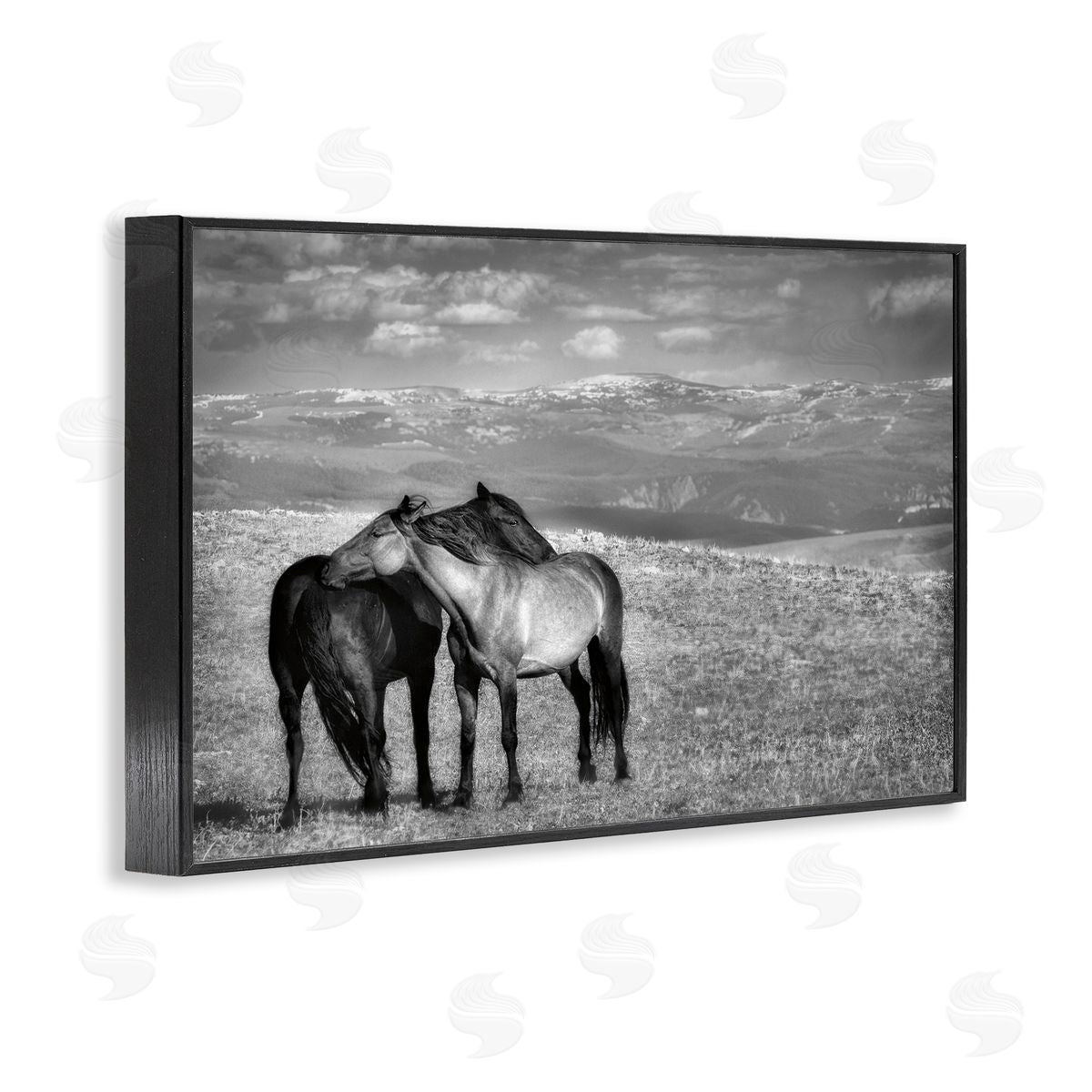 Wendy Caro Focused Horse Duo Canvas Wall Art Print