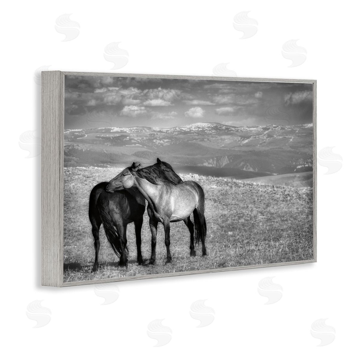 Wendy Caro Focused Horse Duo Canvas Wall Art Print
