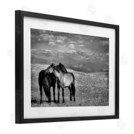 Wendy Caro | Focused Horse Duo