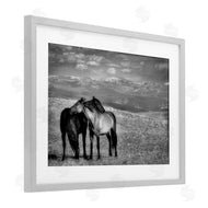 Wendy Caro | Focused Horse Duo