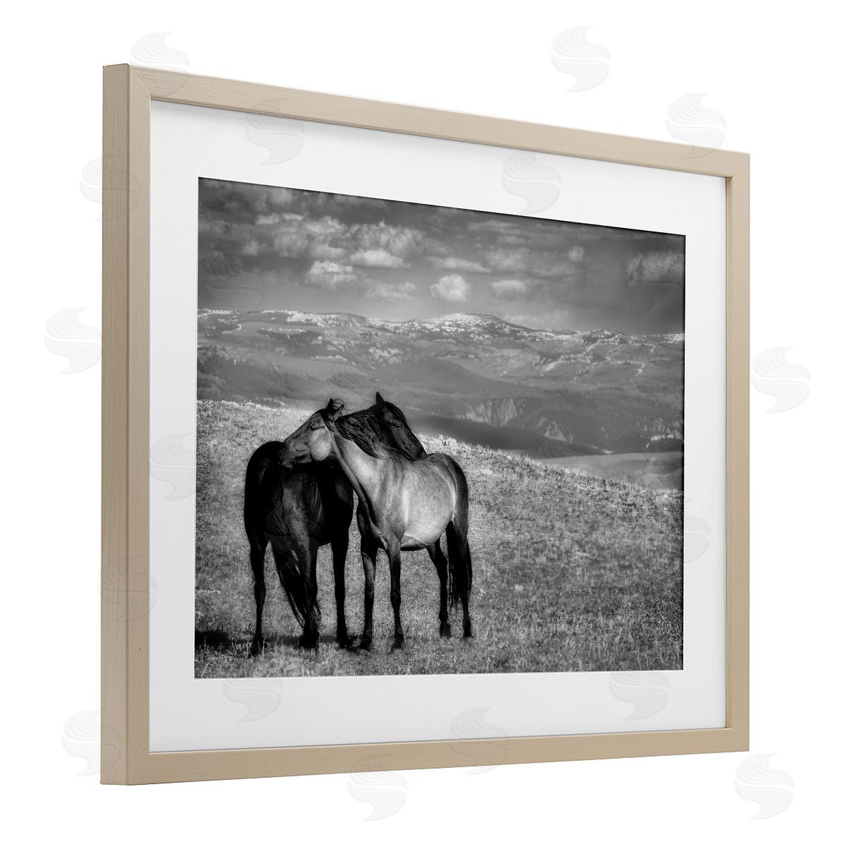 Wendy Caro Focused Horse Duo Canvas Wall Art Print