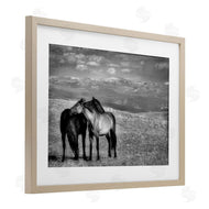 Wendy Caro | Focused Horse Duo