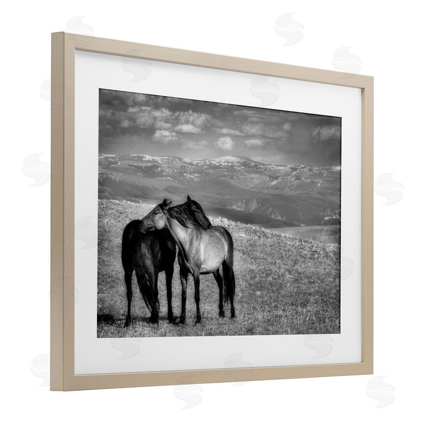 Wendy Caro | Focused Horse Duo