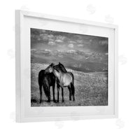 Wendy Caro | Focused Horse Duo