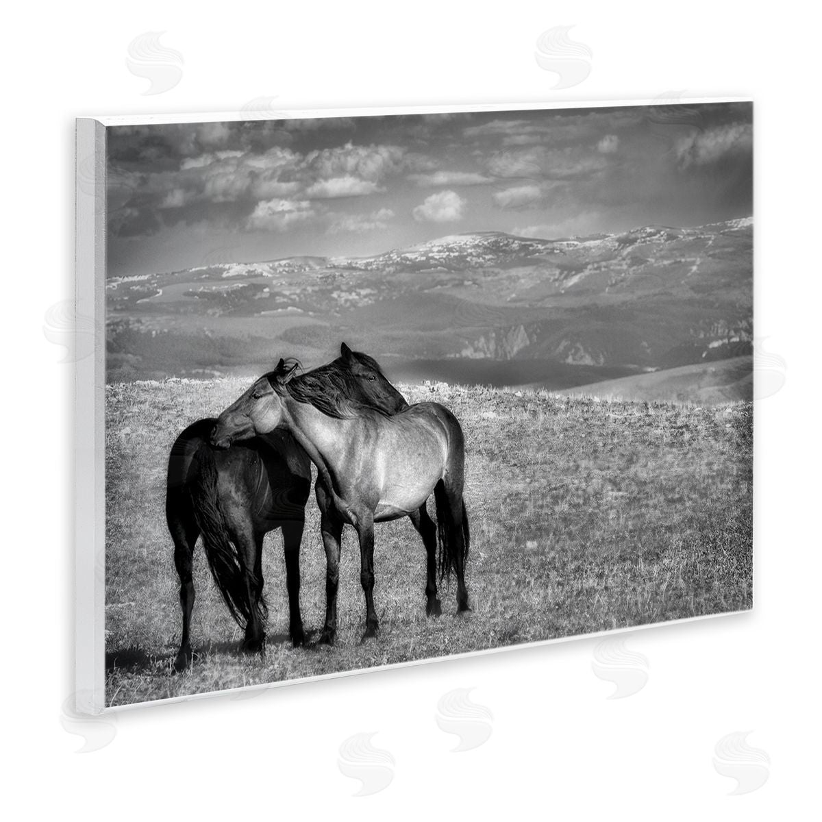Wendy Caro Focused Horse Duo Canvas Wall Art Print