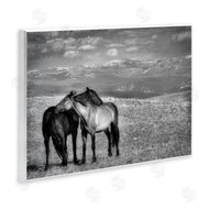 Wendy Caro | Focused Horse Duo